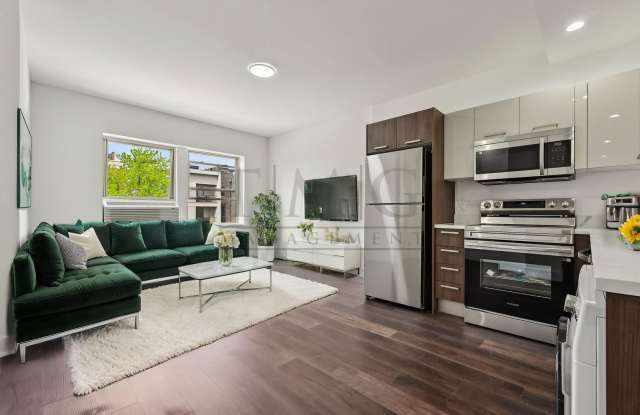 Charming Brand New 2 Bedroom in Andersonville ✨ Bright, Airy Feel with In-Unit Laundry  Private Kitchen photos photos