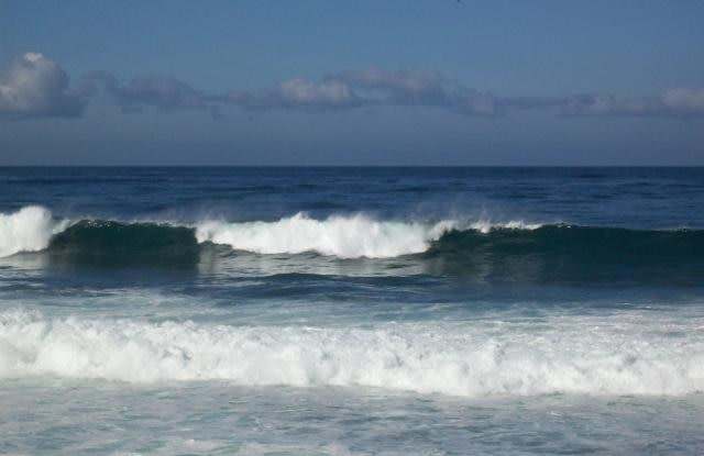 240 Coast - 240 Coast Blvd, San Diego, CA 92037