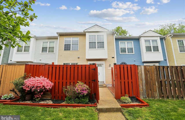 2867 SHEPPERTON Terrace photos photos