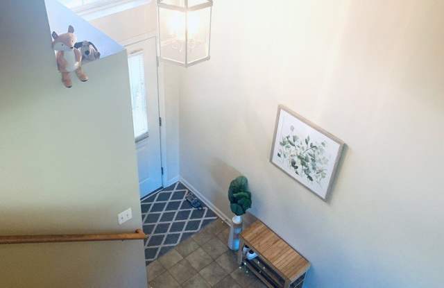 437 Belvedere Lane Gallery 2