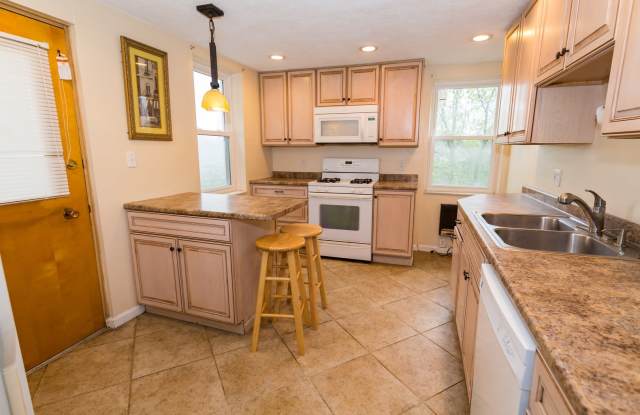 Large 4 Bedroom Home in Southside Slopes - Off of 18th Street Steps - 83 Pius Street, Pittsburgh, PA 15203