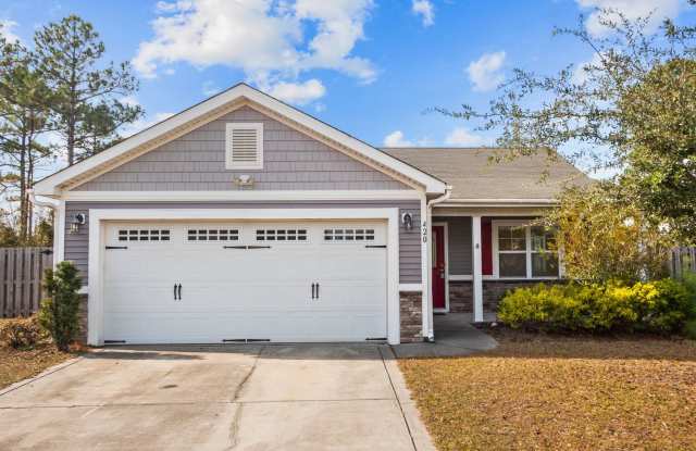 Welcome to Oyster Bay! - 420 Blue Pennant Court, Onslow County, NC 28445