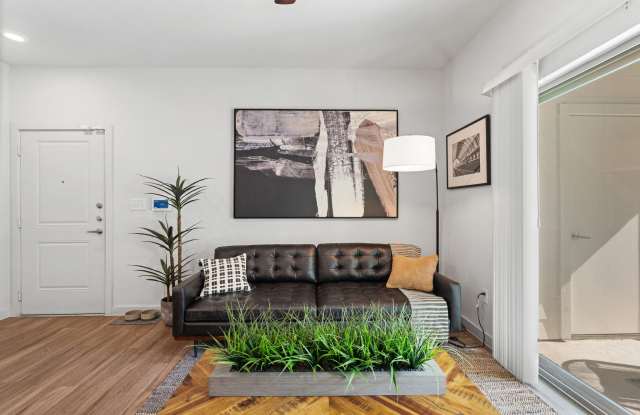 Water Oak Gallery 3