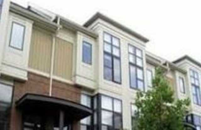624 Garden District Dr, Gallery 2
