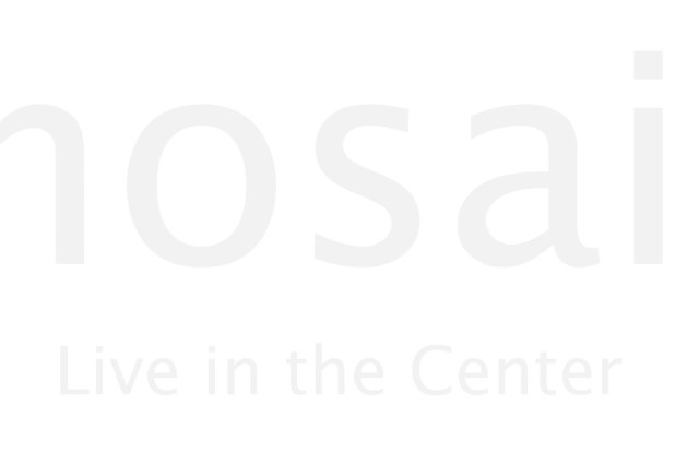 Mosaic at Mueller photos photos