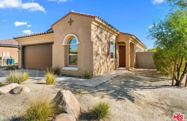 69 Syrah photos photos