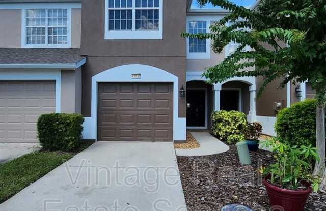 10130 Pink Palmata Ct - 10130 Pink Palmata Court, Brandon, FL 33578