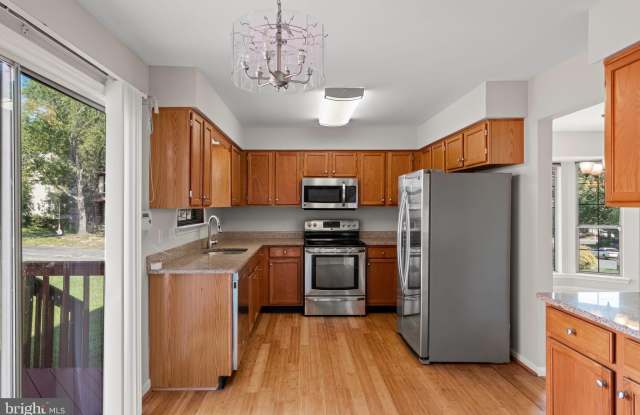 12518 QUARTERHORSE LANE Gallery 4