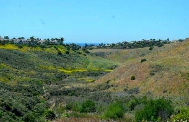 1006 Calle De Los Arboles, San Clemente, CA 92673 - 1006 Calle De Los Arboles, San Clemente, CA 92673