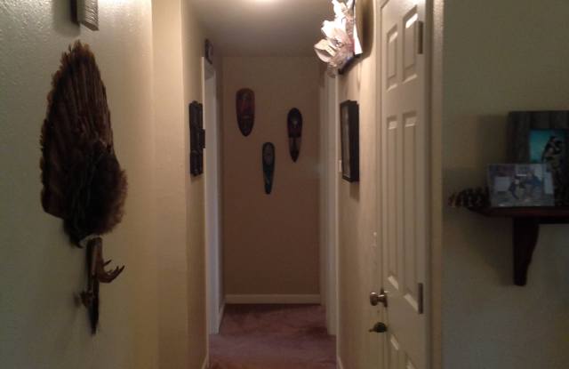 8951 Mccoy Pl Gallery 2