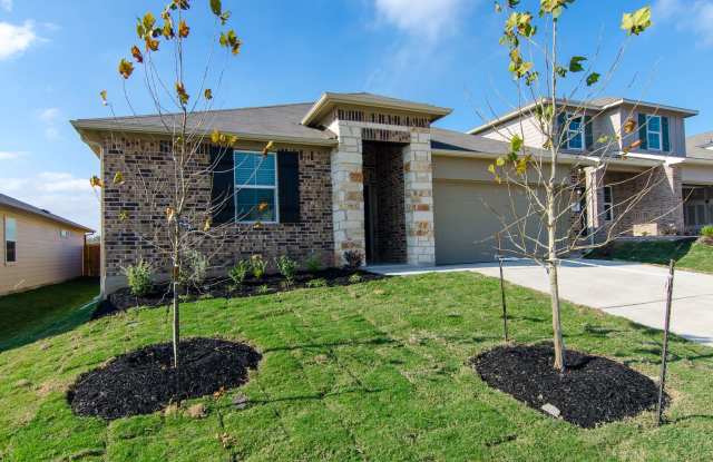 262 Fall Aster Drive Kyle TX 78640 Gallery 1