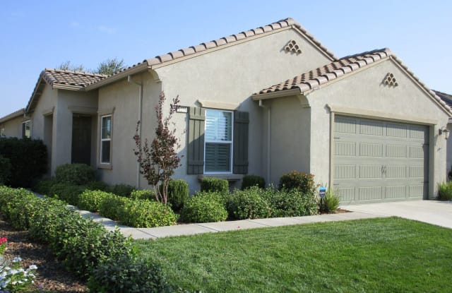 1273 Sugar Maple St - 1273 Sugar Maple Street, Manteca, CA 95336