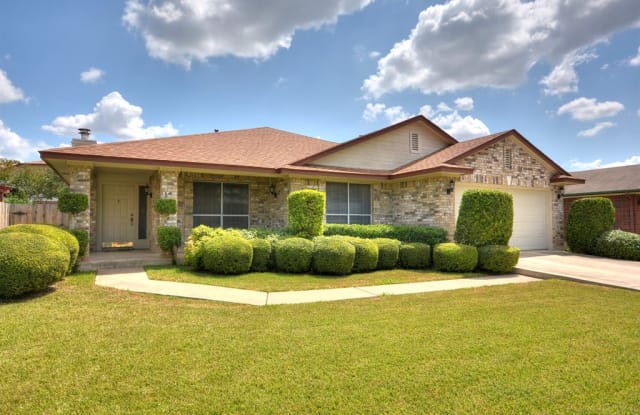 9403 Tea Rose Trail - 9403 Tea Rose Trail, Austin, TX 78748
