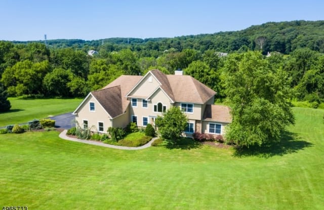 199 Old Turnpike Road - 199 Old Turnpike Road, Hunterdon County, NJ 07830