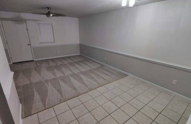 804 Pine Forest Trail Gallery 2