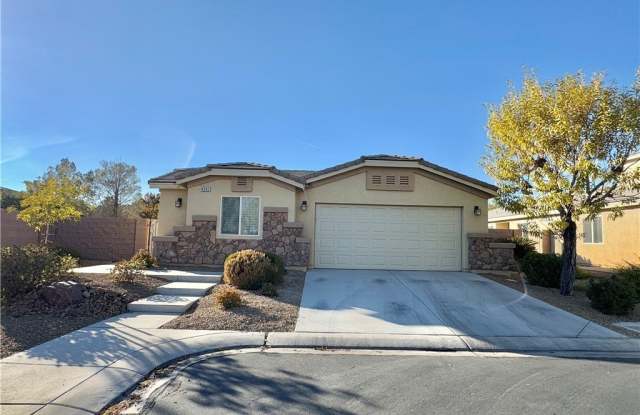 4595 Grindle Point Street - 4595 Grindle Point Street, Spring Valley, NV 89147