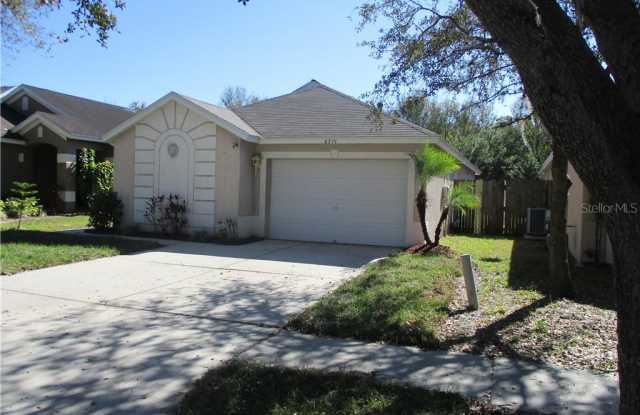 6719 SUMMER COVE DRIVE Gallery 2
