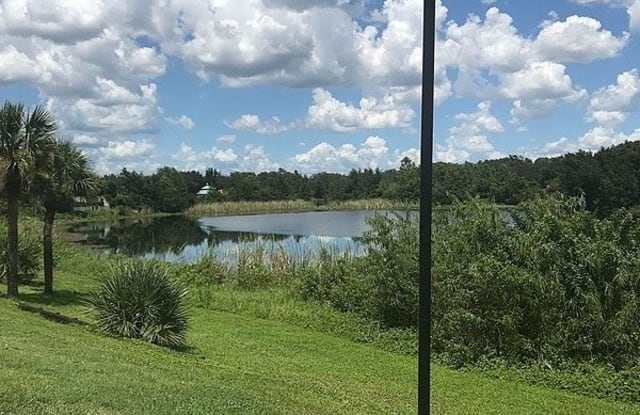 4586 Pheasant Run Drive - 4586 Pheasant Run Drive, Orlando, FL 32808