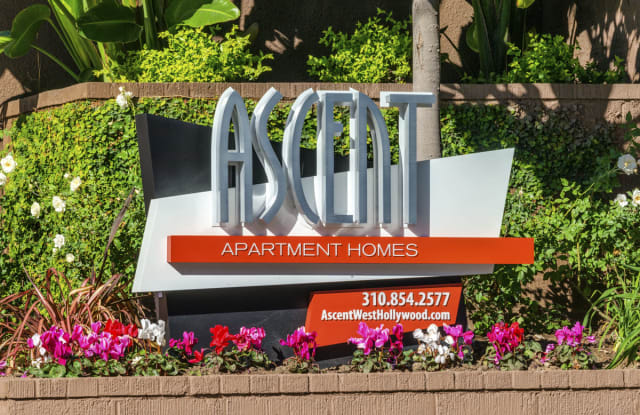 Ascent photos photos