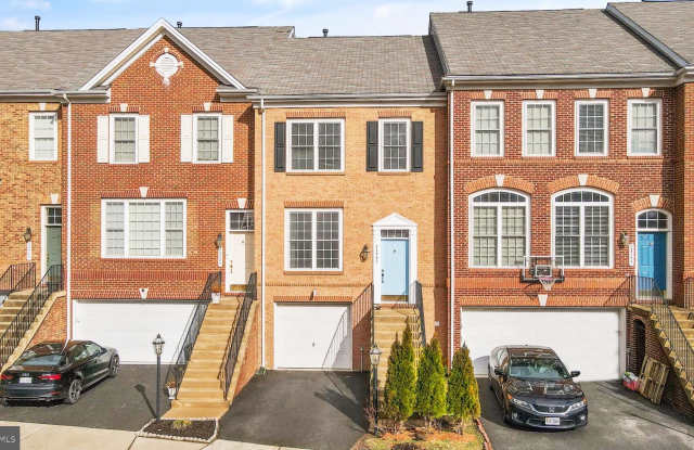 21753 LADYSLIPPER Square photos photos