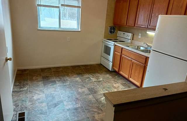 Main Street Elegance: Your New Home in Festus, MO photos photos