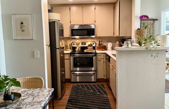 2020 Camino De La Reina - 204Apt 204 Gallery 4