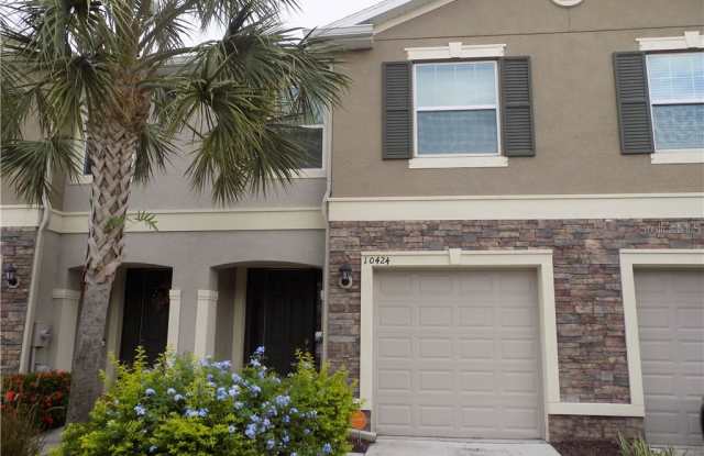 10424 RED CARPET CT - 10424 Red Carpet Court, Riverview, FL 33578
