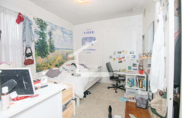 Huge 4 bed 2 bath near BU and the Green Line. Gallery 4