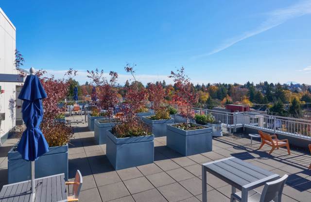 Square One Apartments photos photos Square One Apartments photos photos