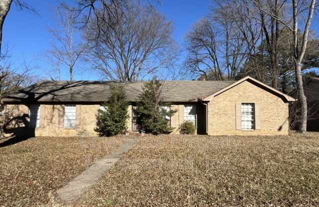 6124 Chinaberry Dr photos photos