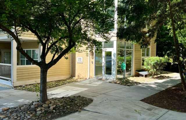 175 S Lexington Ave - 175 South Lexington Avenue, Asheville, NC 28801