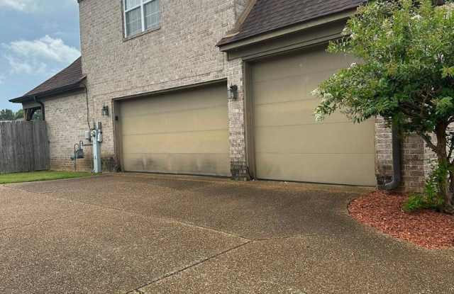 5128 Kings Oasis Way – Fresh, Modern & Move-In Ready Gallery 3