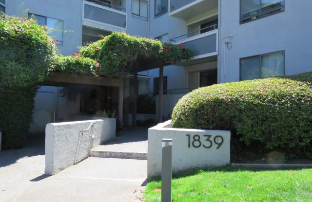 LARGE STUDIO IN SUNNY MISSION W/PARKING photos photos