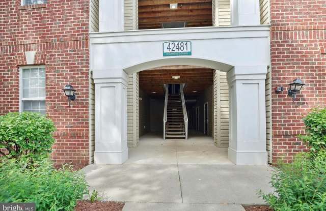 42481 ROCKROSE Square Gallery 1