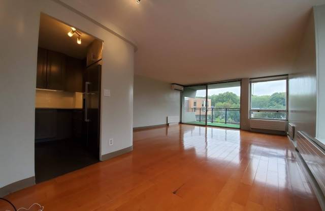 VERY HUGE 1 BED IN BROOKLINE!!!! - 60 Babcock Street, Brookline, MA 02446