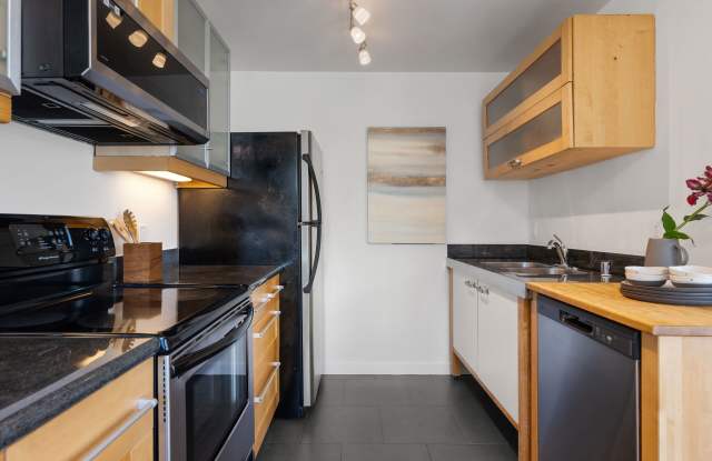 619 Shotwell St Apt 3 Gallery 4