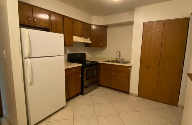 310 N. Larkin, SF10A4 - 310 N Larkin Ave, Joliet, IL 60435