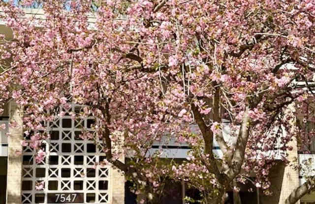 Remodeled 2 BR 1BA in Bethesda. Private front patio. Most utilities included. photos photos