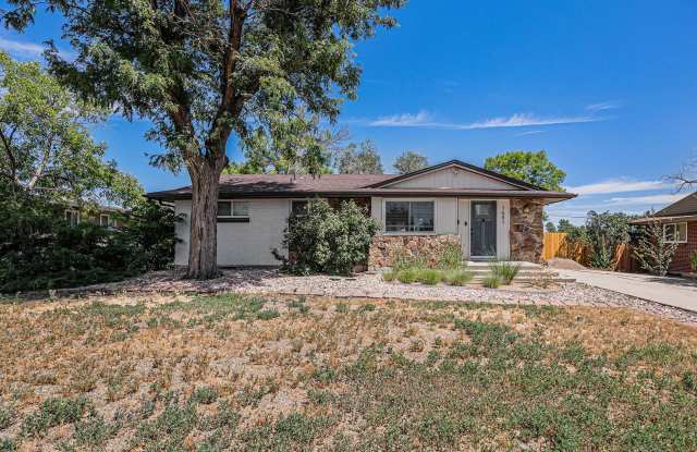 Completely Updated 3-Bedroom Home in Northeast Denver – Rural Charm with City Convenience! photos photos