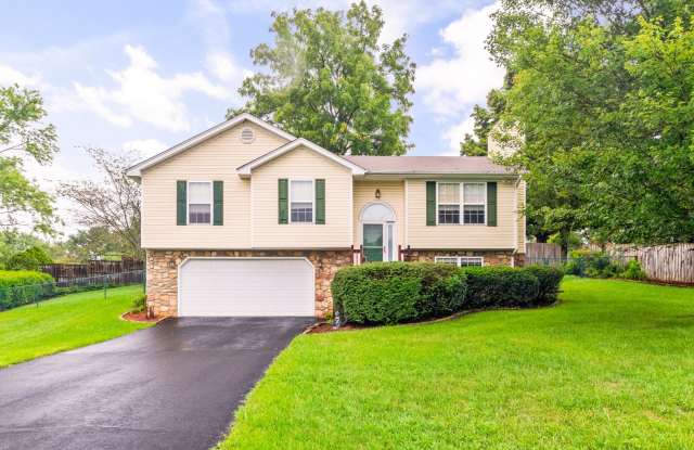 3 Bed / 3 Bath. Pet Friendly. Easy access to US 460 / I 81. Gallery 1
