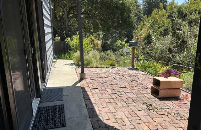 1146 Cragmont Avenue Gallery 2