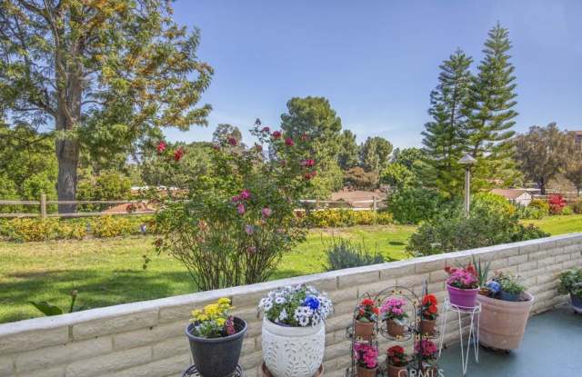 5350 Algarrobo Gallery 4
