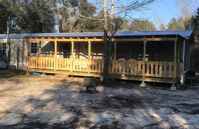 262 River Road - 262 River Rd, Lanier County, GA 31635