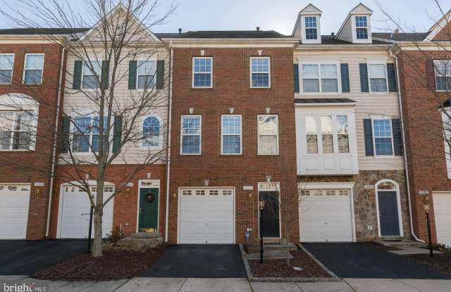 42511 MAGELLAN Gallery 2