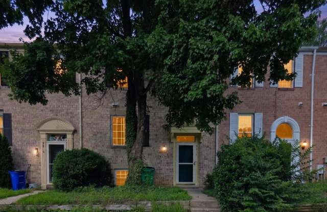 9814 RAINLEAF Court Gallery 1