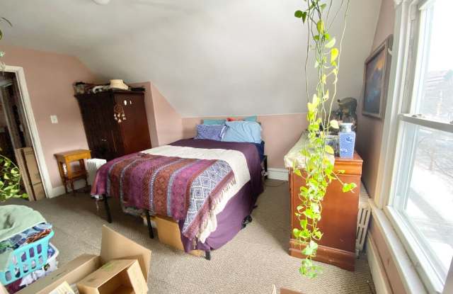 34 Colchester Avenue photos photos