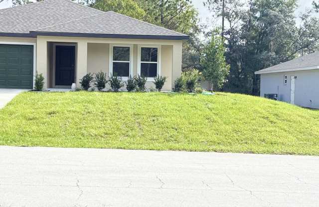 9351 North Pineview Way - 9351 North Pineview Way, Citrus Springs, FL 34434