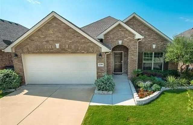 1290 Water Lily Dr - 1290 Water Lily Drive, Little Elm, TX 75068