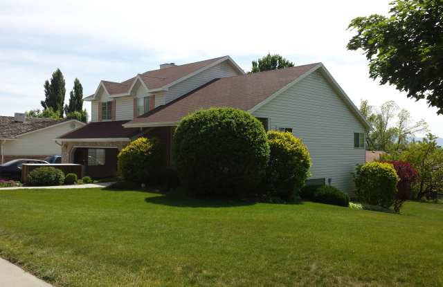 339 N 1350 E Gallery 3