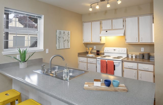 Village at Cascade Park Apartments Gallery 4